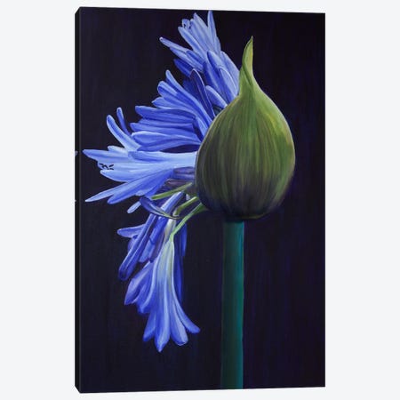 Blue Blooming Buds Canvas Print #SOV134} by Svetlana Saratova Art Print