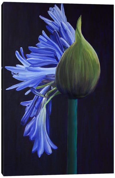 Blue Blooming Buds Canvas Art Print