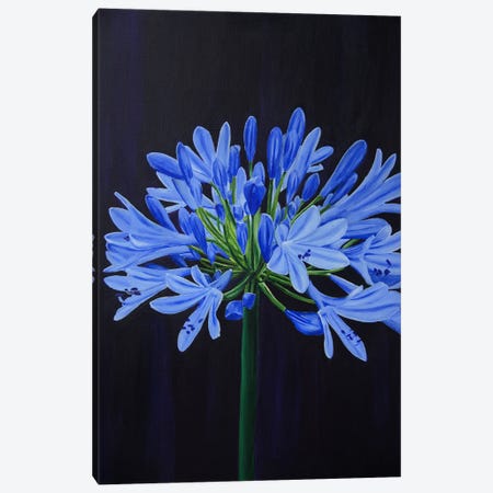 Blue Blooming Buds I Canvas Print #SOV135} by Svetlana Saratova Canvas Art Print