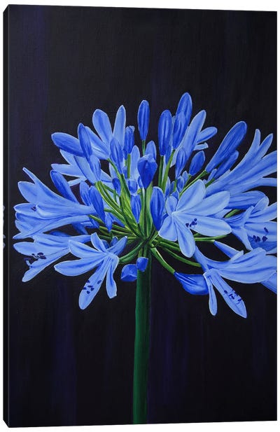 Blue Blooming Buds I Canvas Art Print - Svetlana Saratova