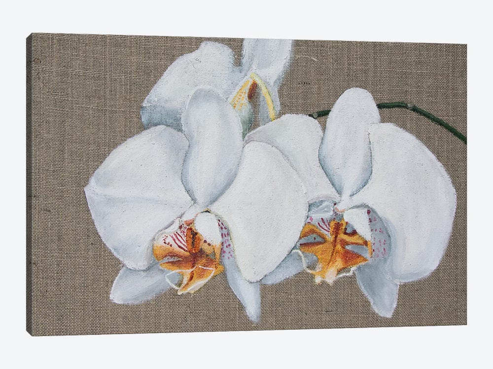 White Orchid by Svetlana Saratova 1-piece Canvas Art