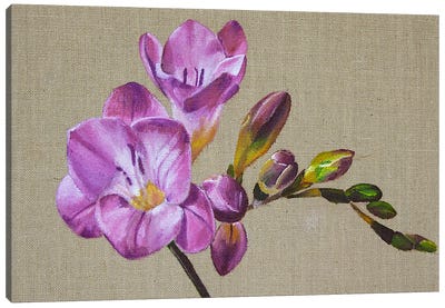 Burgundy Flower, Freesia Canvas Art Print - Svetlana Saratova