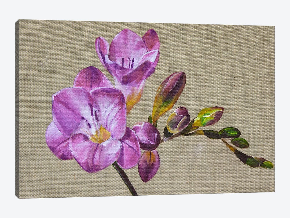 Burgundy Flower, Freesia by Svetlana Saratova 1-piece Canvas Art Print