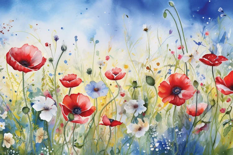 Poppies And Daisies III