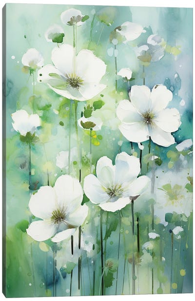 White Buttercup I Canvas Art Print - Svetlana Saratova