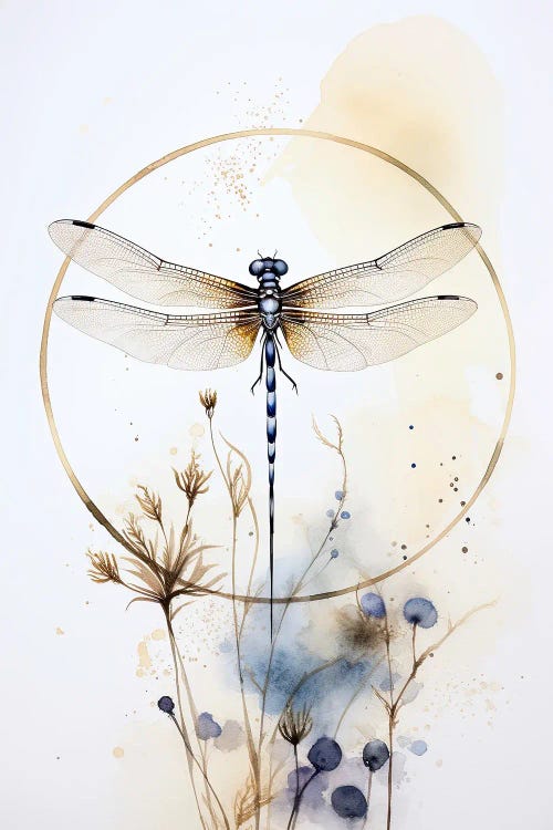 Dragonfly II