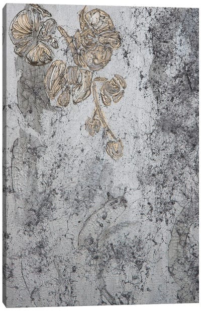 Silver Orchid II Canvas Art Print - Svetlana Saratova