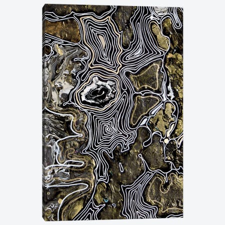 Collage Metamorphoses I Black White Gold Canvas Print #SOV47} by Svetlana Saratova Canvas Wall Art
