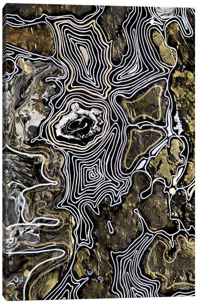 Collage Metamorphoses I Black White Gold Canvas Art Print - Svetlana Saratova