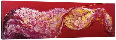 Golden Spiral On A Crimson Background. Canvas Art Print - Svetlana Saratova