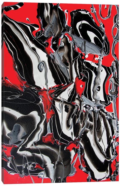 White And Black On Red Canvas Art Print - Svetlana Saratova