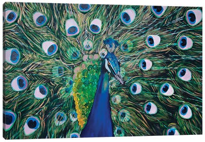 Peacock Canvas Art Print - Svetlana Saratova