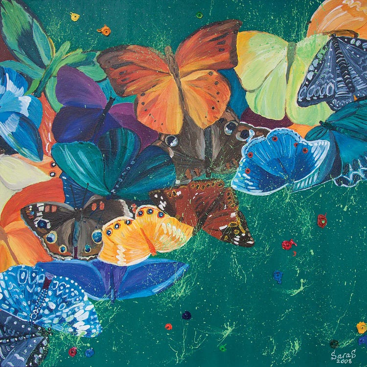 Colorful Butterfly