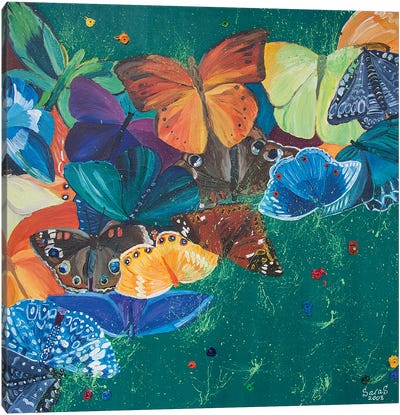 Colorful Butterfly Canvas Art Print - Svetlana Saratova