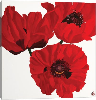 Red Poppies Canvas Art Print - Svetlana Saratova