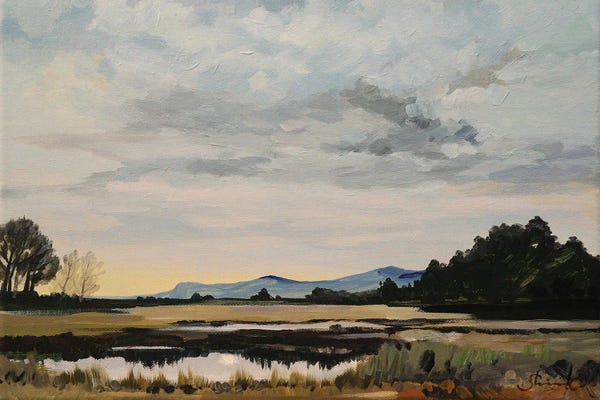 Infinite Landscapes: Calming Twilight by Shina Choi