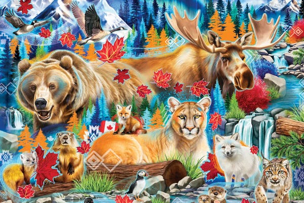 Cougars: Canadian Magic by Sheena Pike