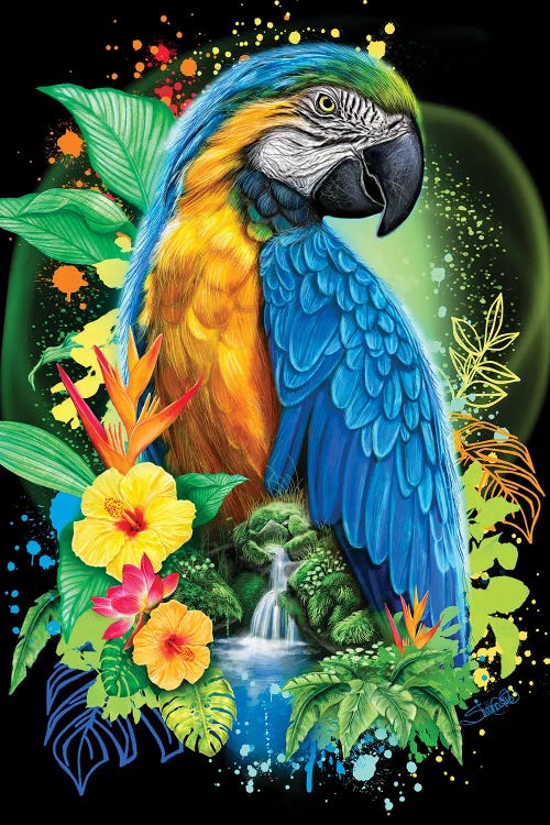 Macaw Spirit by Sheena Pike wall art
