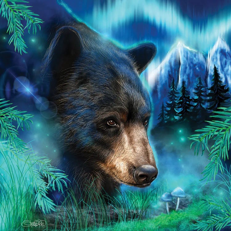Northern Lights Black Bear by Sheena Pike wall art