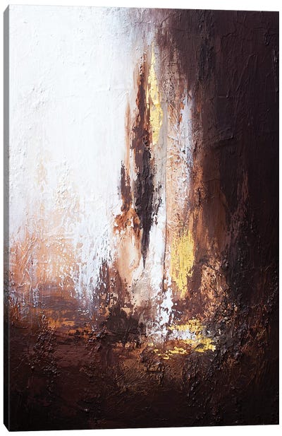 Light Of The Cave Canvas Art Print - Spellbound Fine Art