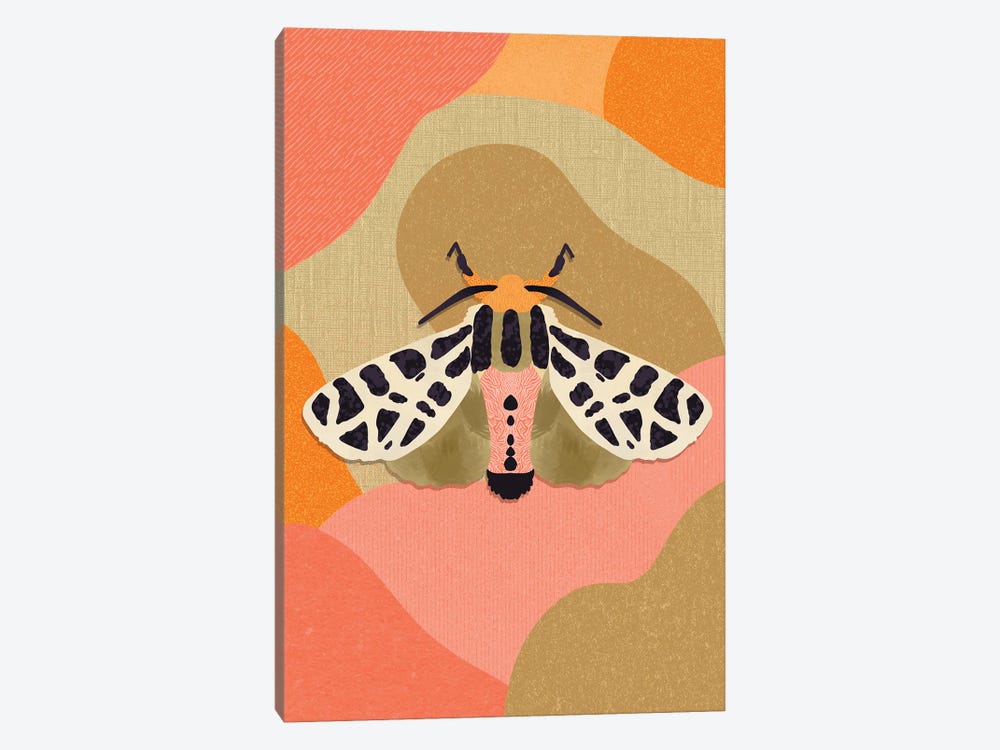 Moth by Sagmoon Paper Co. 1-piece Canvas Wall Art