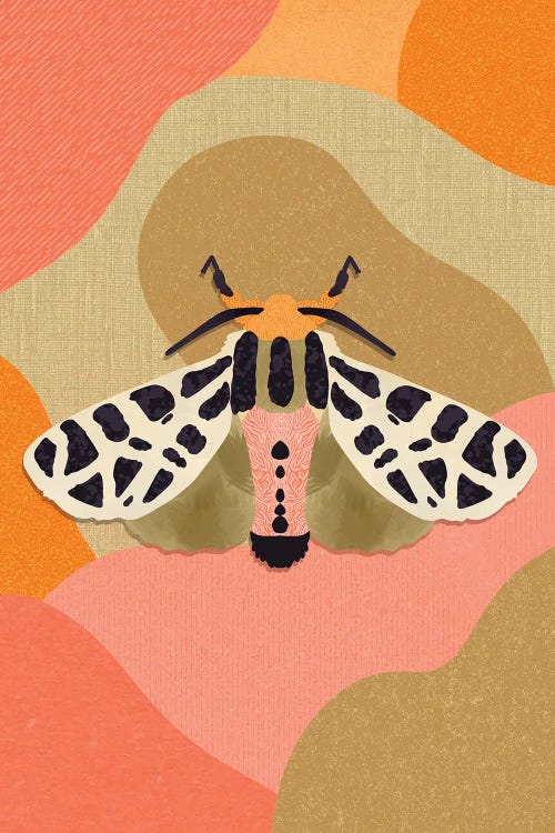 Moth by Sagmoon Paper Co. wall art