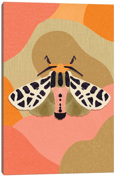 Moth Canvas Art Print - Sagmoon Paper Co.