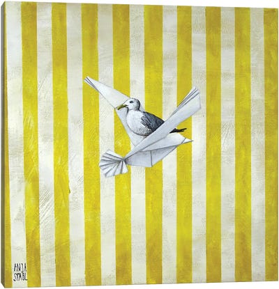 Fly High II Canvas Art Print - Gull & Seagull Art