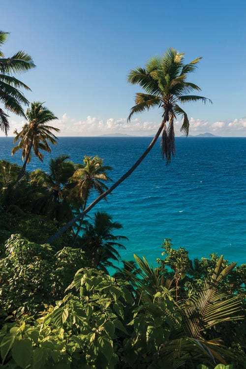 A High Angle View Of Palm Trees And Tropical Vegetation On A Beach In The Indian Ocean. Fregate Island, Seychelles.