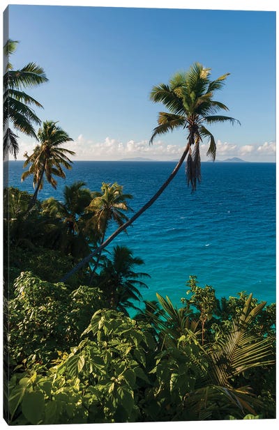 A High Angle View Of Palm Trees And Tropical Vegetation On A Beach In The Indian Ocean. Fregate Island, Seychelles. Canvas Art Print