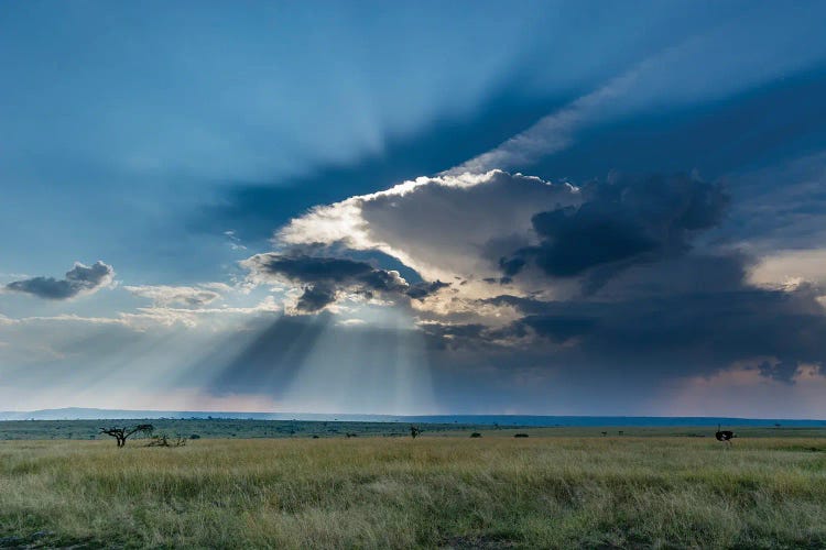 Masai Mara National Reserve In Kenya. Masai Mara National Reserve, Kenya