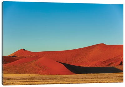 Red Sand Dunes Against A Bright Blue Sky In The Sossusvlei. Namib Naukluft Park, Namib Desert, Namibia. Canvas Art Print