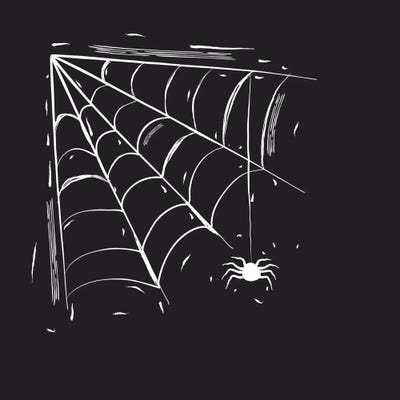 Spooky Cut Spider Web by 5by5collective canvas print