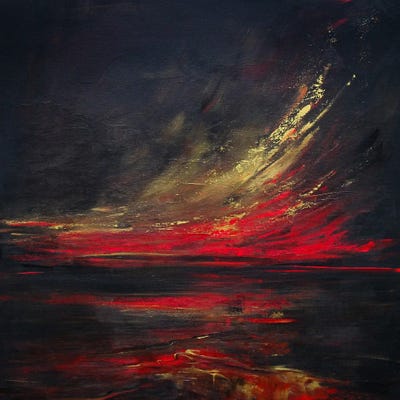 Inner Explosion by Sophia Kuehn canvas print