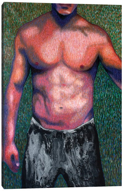 Male Nude VIII Canvas Art Print - Stefano Pallara