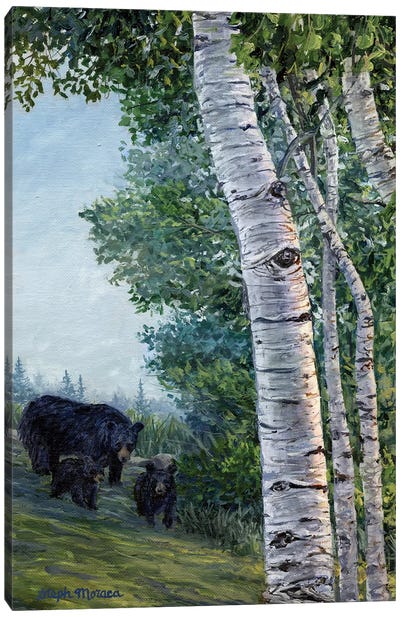 Morning Walk With The Cubs Canvas Art Print - Black Bear Art
