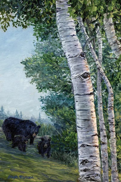 Birch Trees: Morning Walk With The Cubs by Steph Moraca