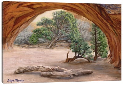 Navajo Arch Canvas Art Print - Arches National Park Art