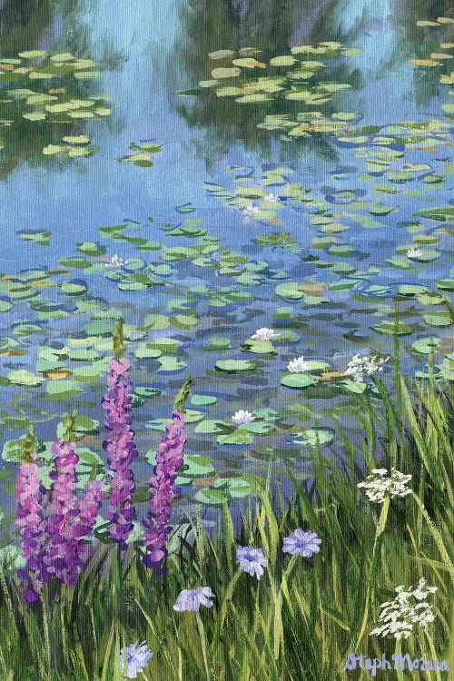 Tranquil Lily Pond
