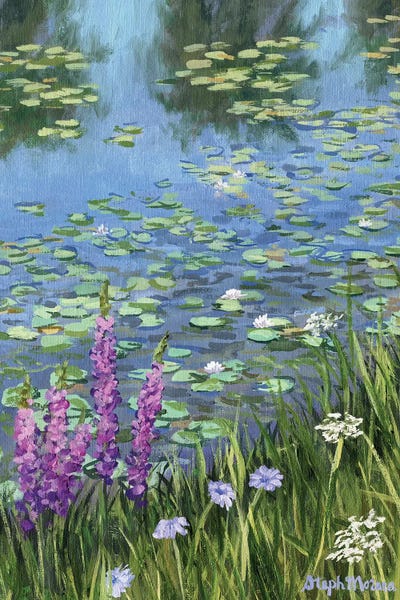 Steph Moraca: Tranquil Lily Pond by Steph Moraca