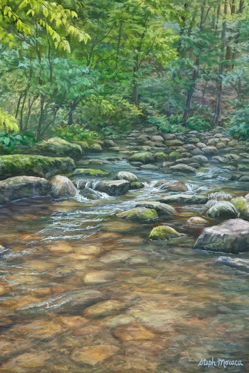 Blue Ridge Brook by Steph Moraca wall art