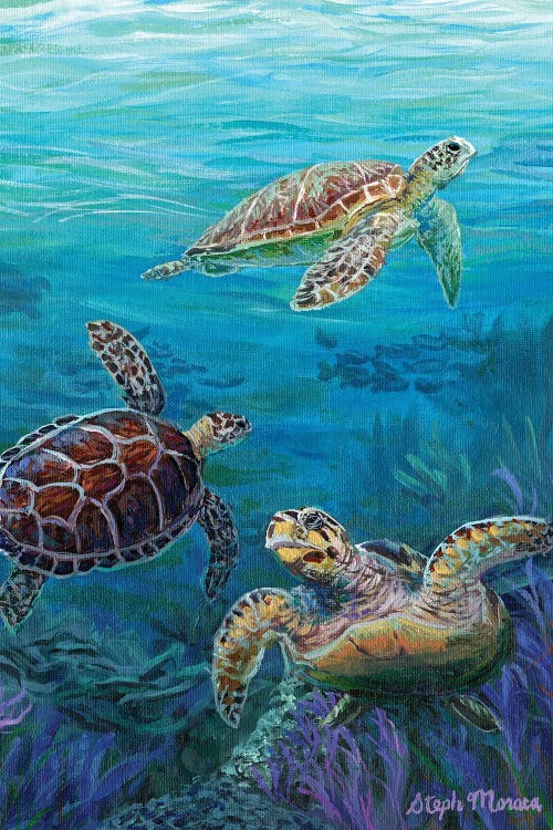 The Turtle Club by Steph Moraca wall art