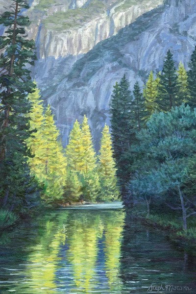 Steph Moraca: Where The Pines Shine by Steph Moraca