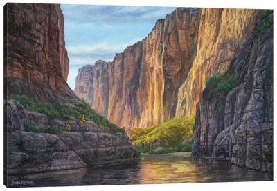 Big Bend And Butterflies Canvas Art Print - Canyon Art