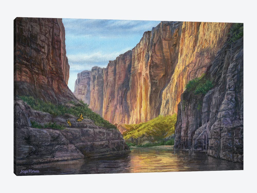 Big Bend And Butterflies by Steph Moraca 1-piece Canvas Print