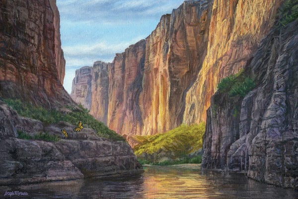 Big Bend And Butterflies