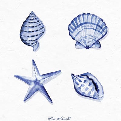 Shell Collection IV by Stephanie Ryan art print