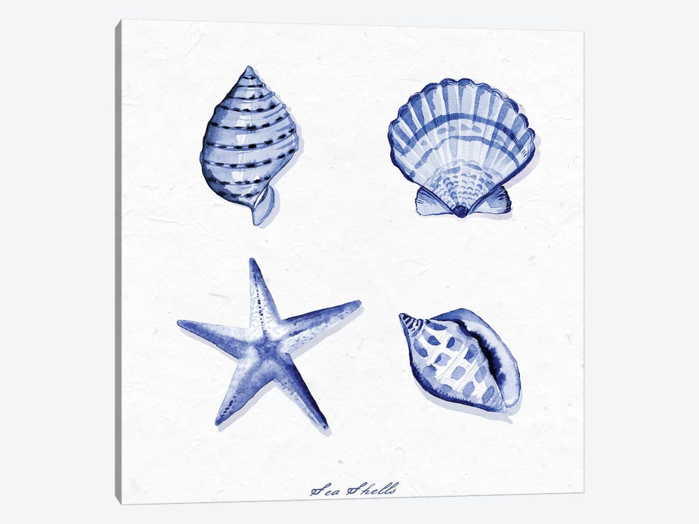 Shell Collection IV by Stephanie Ryan 1-piece Canvas Art Print