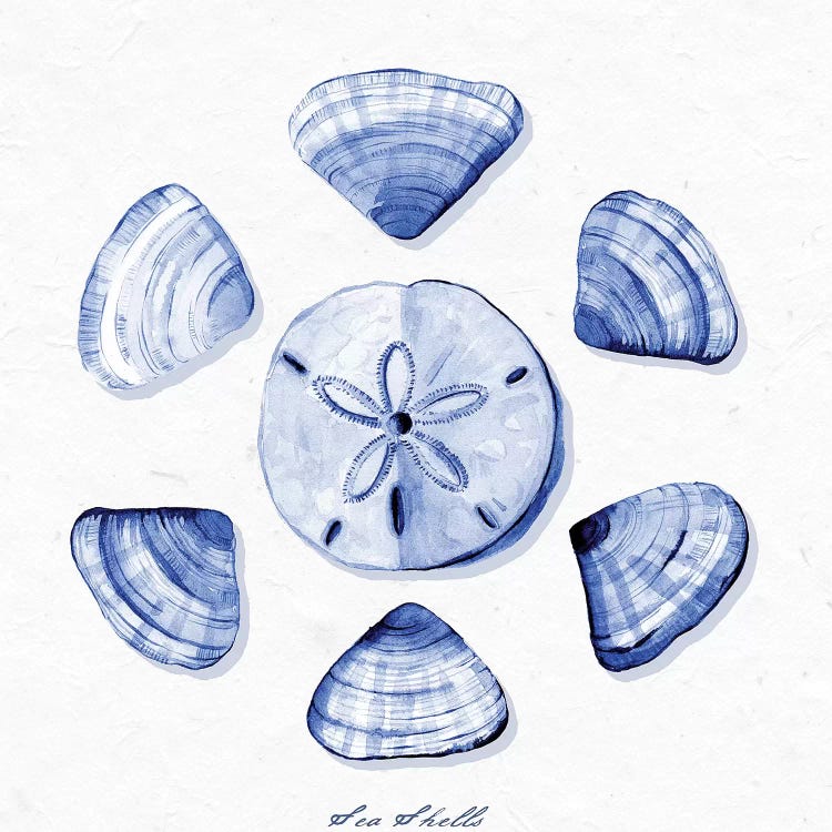 Shell Collection VII by Stephanie Ryan wall art