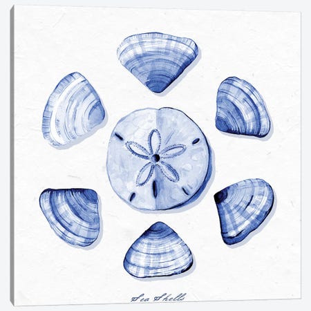 Shell Collection VII Canvas Print #SPN188} by Stephanie Ryan Canvas Wall Art